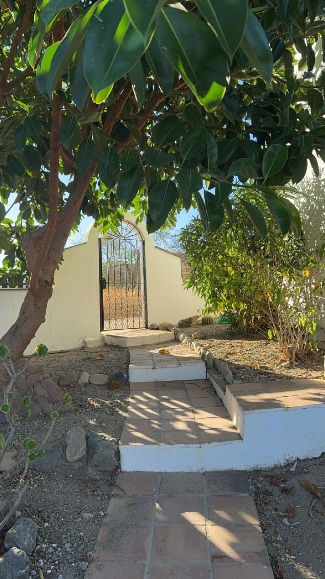 mathilda_bergs snapchat image archive image