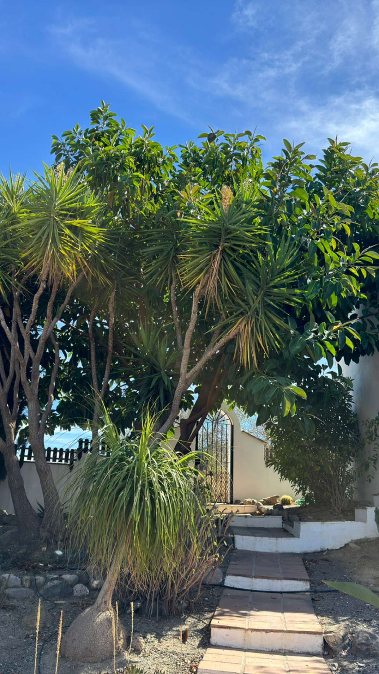 mathilda_bergs snapchat image archive image