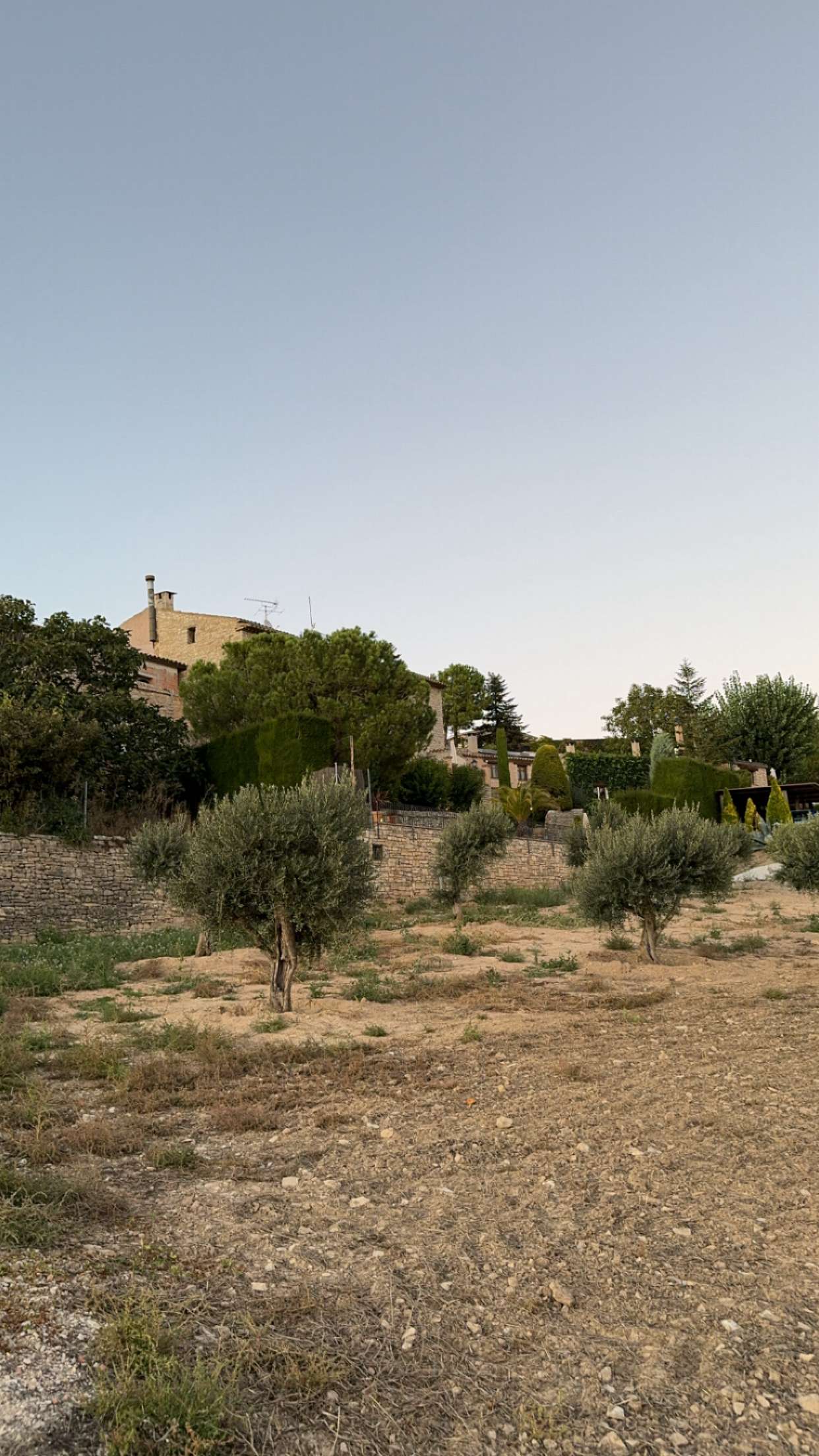 mathilda_bergs snapchat image archive image