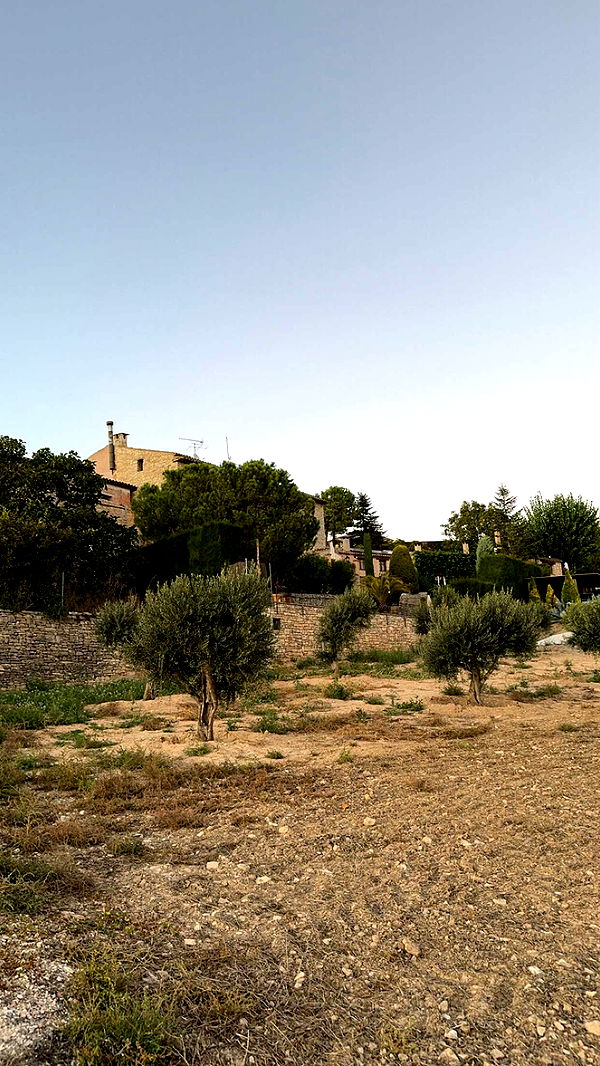 mathilda_bergs image ~ Altpins