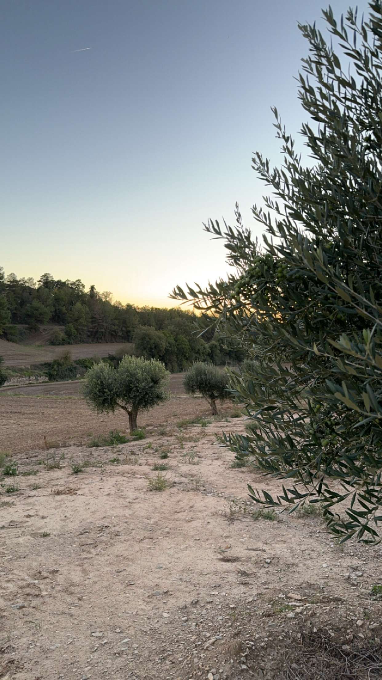 mathilda_bergs snapchat image archive image