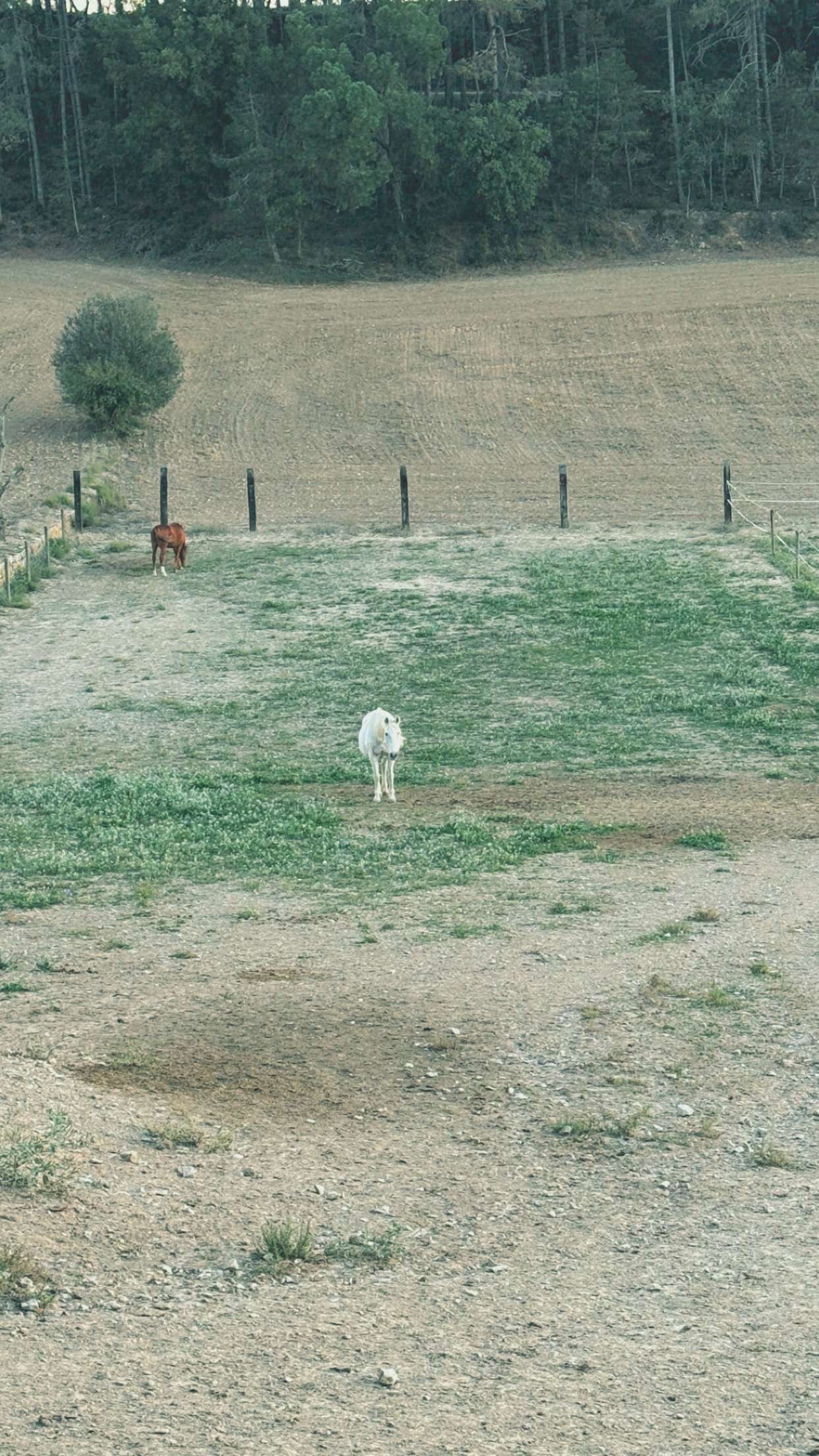 mathilda_bergs snapchat image archive image