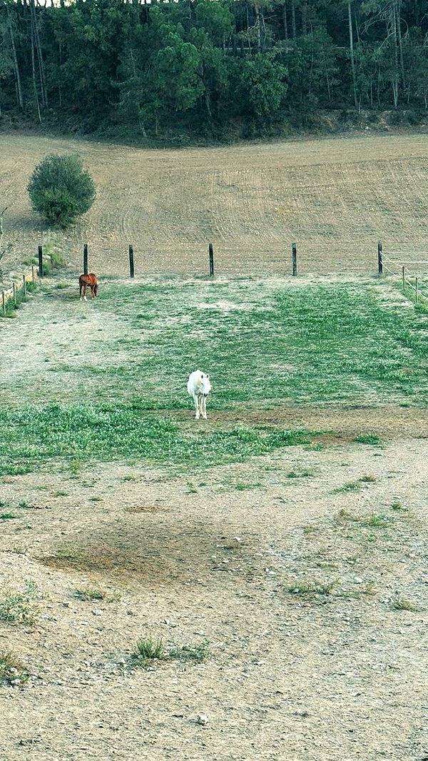 mathilda_bergs image ~ Altpins