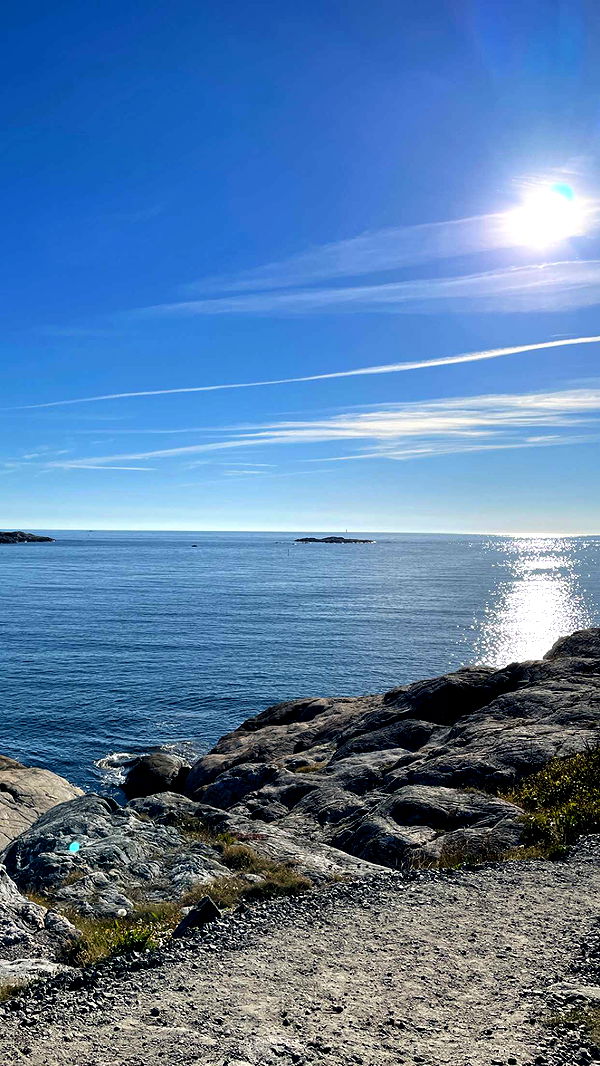 mathilda_bergs image ~ Altpins