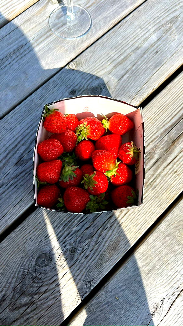 mathilda_bergs image ~ Altpins