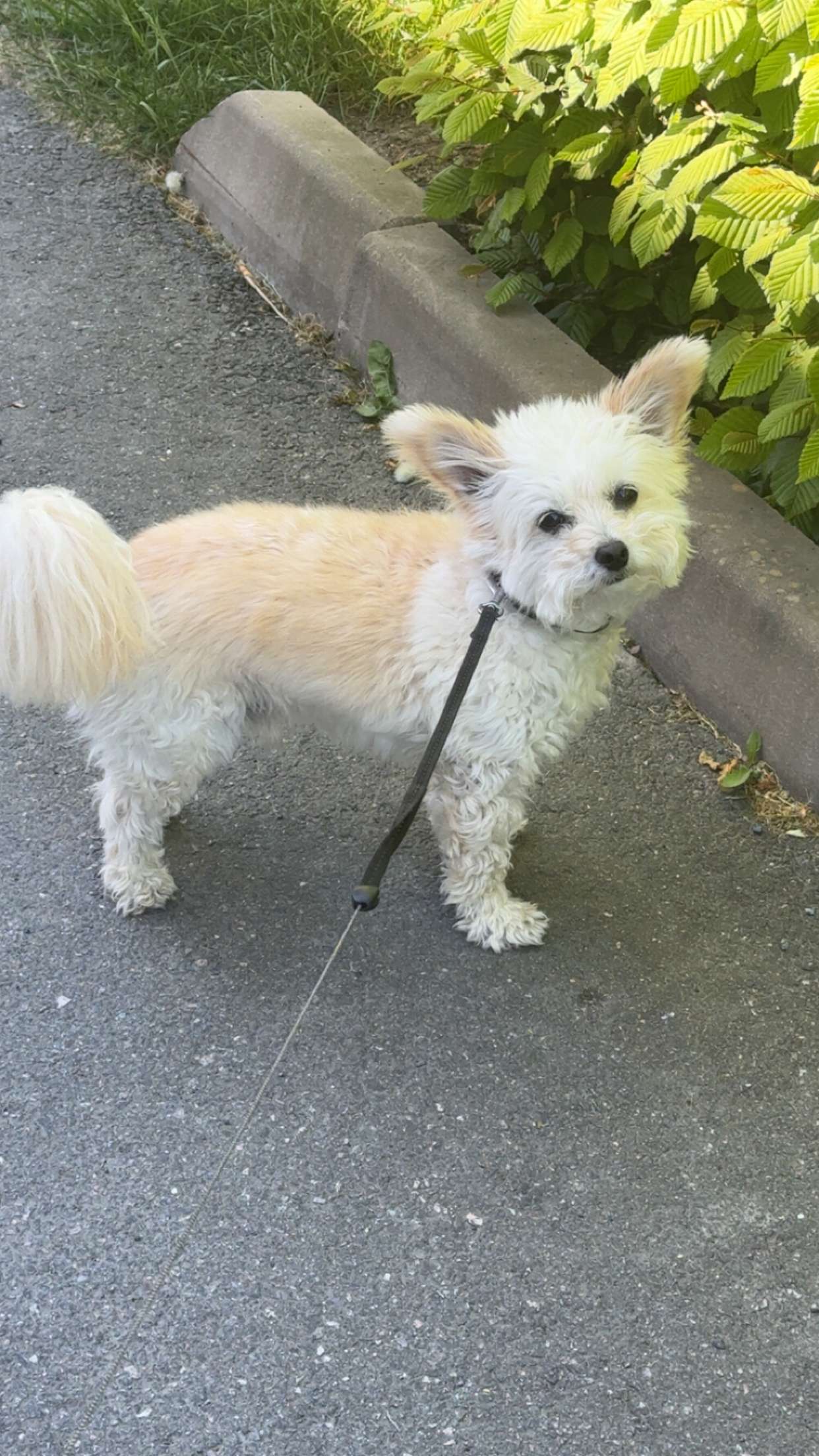 mathilda_bergs snapchat image archive image