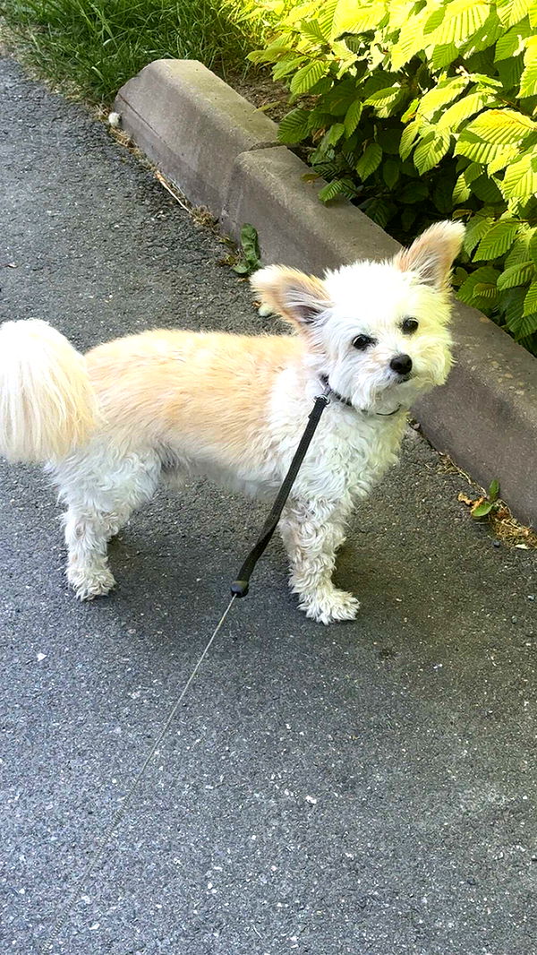 mathilda_bergs image ~ Altpins