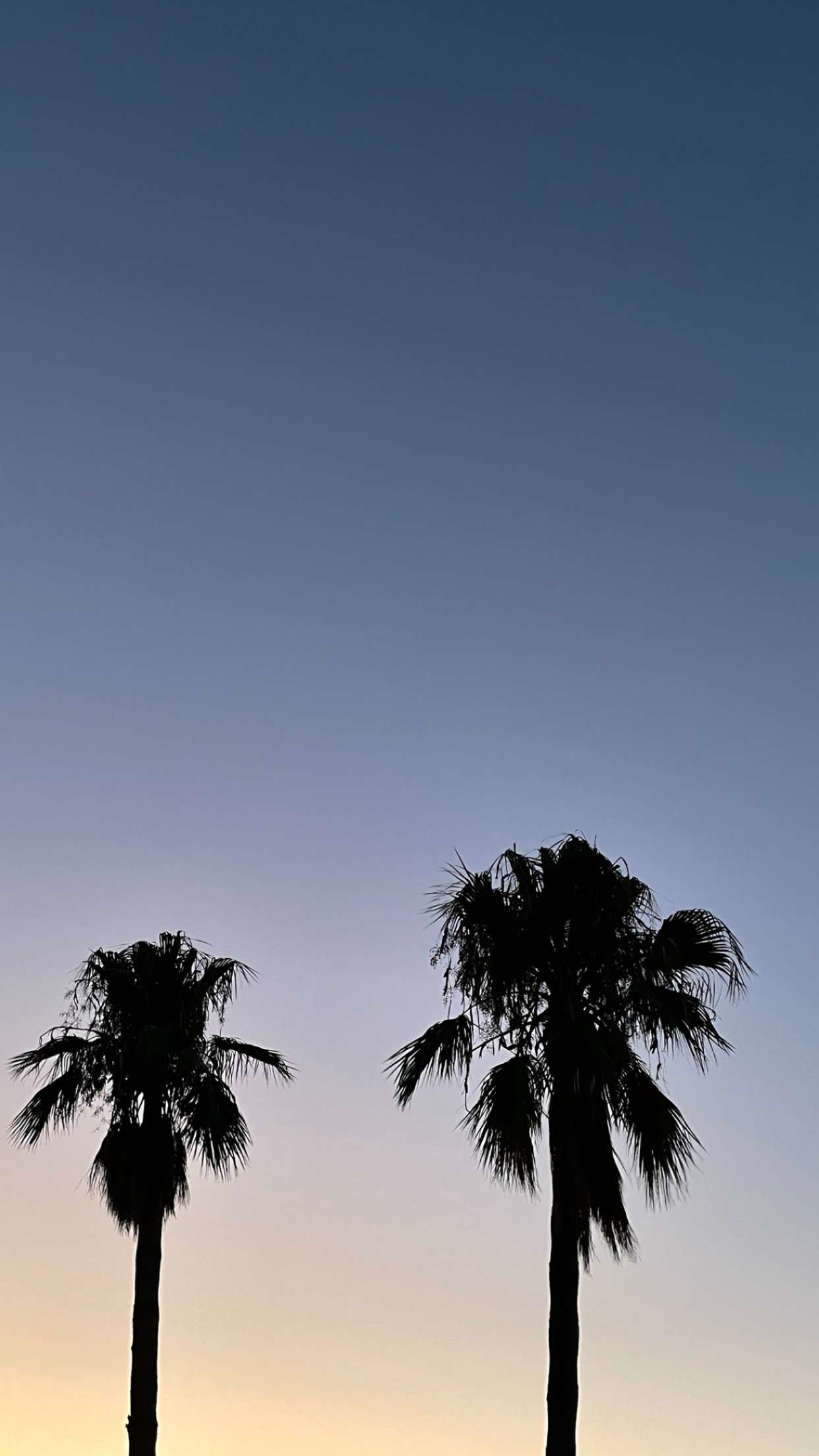 mathilda_bergs snapchat image archive image