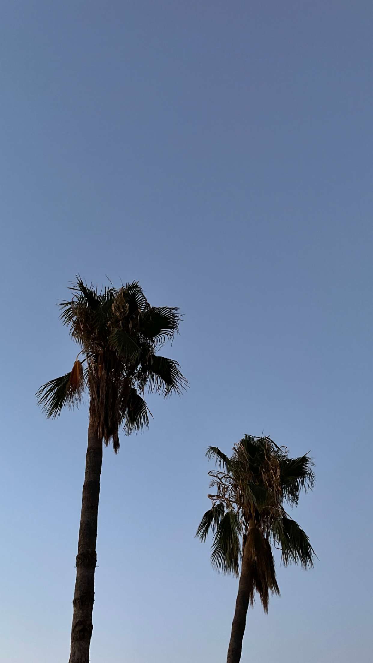 mathilda_bergs snapchat image archive image