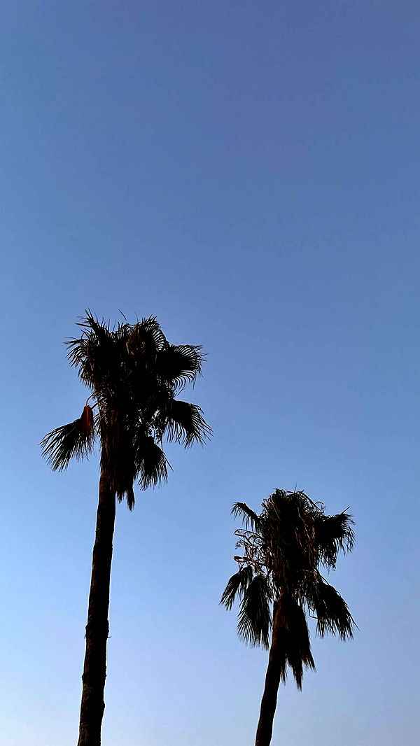 mathilda_bergs image ~ Altpins