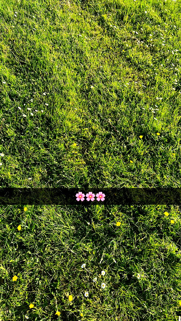 mathilda_bergs image ~ Altpins