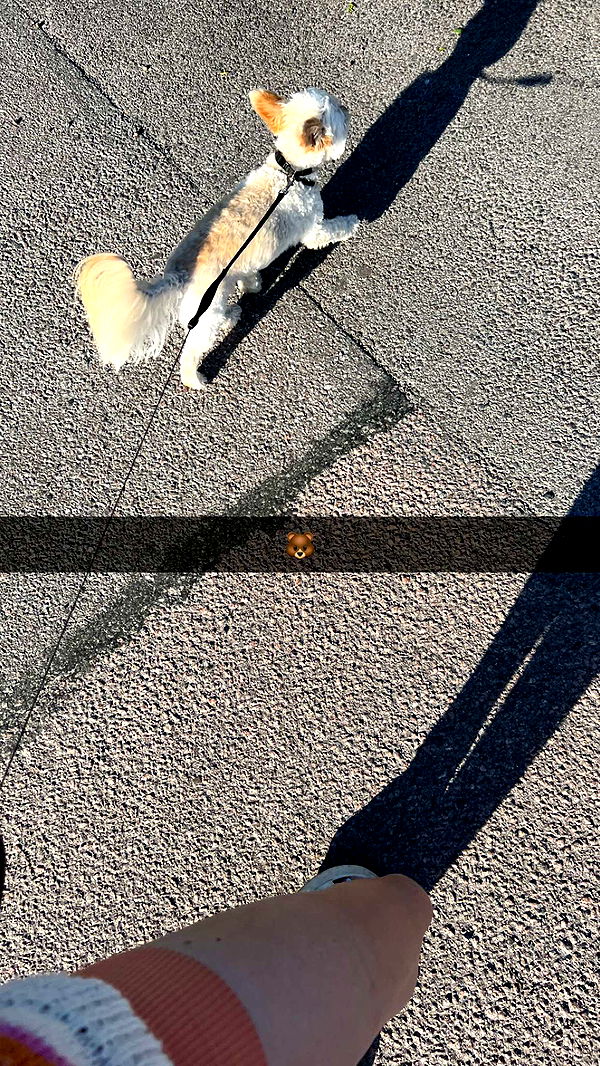 mathilda_bergs image ~ Altpins