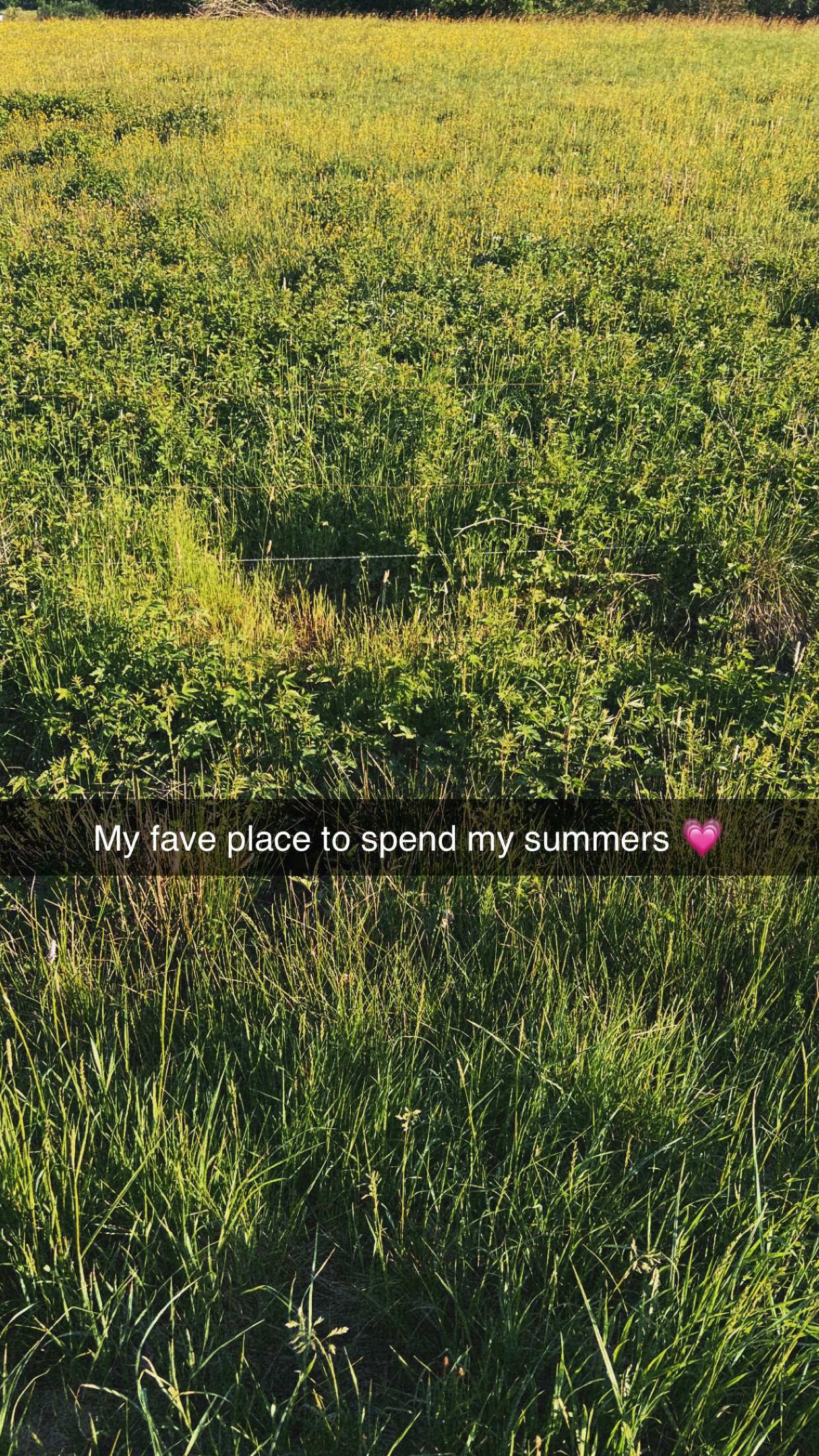 mathilda_bergs snapchat image archive image