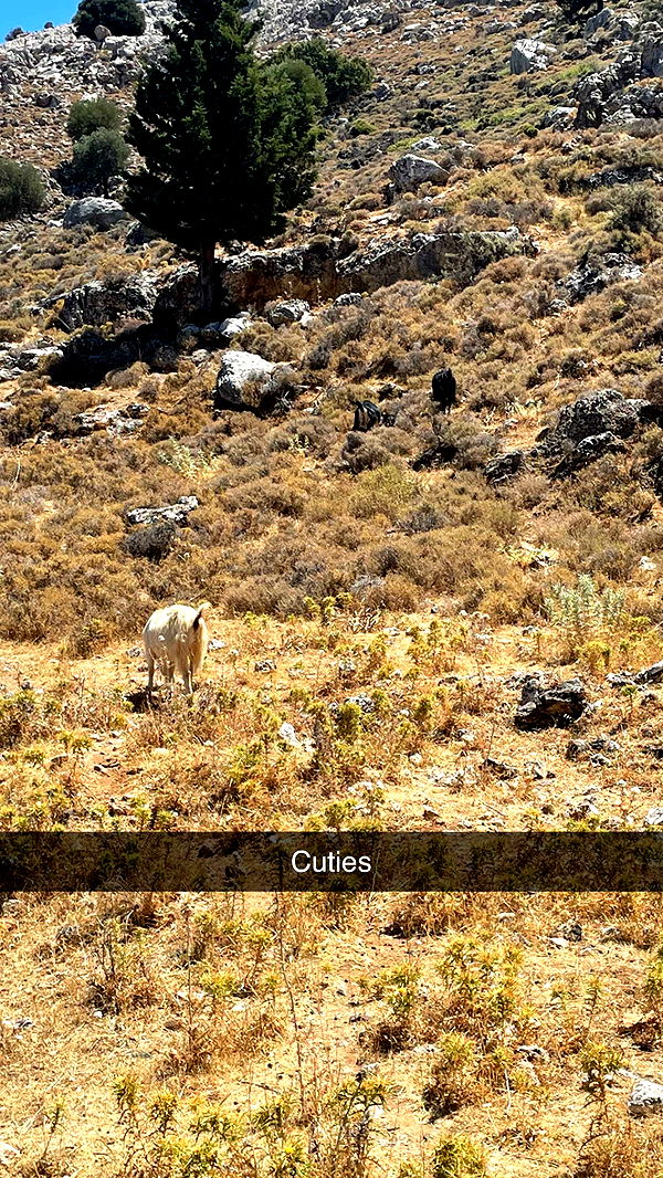 mathilda_bergs image ~ Altpins