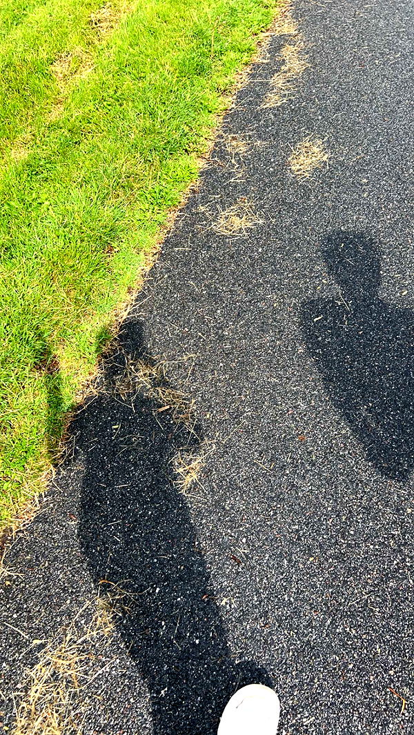 mathilda_bergs image ~ Altpins