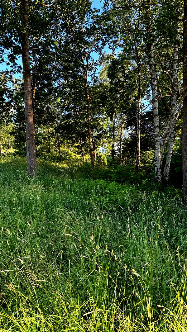 mathilda_bergs image ~ Altpins