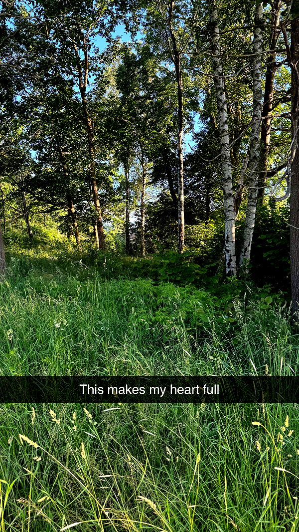 mathilda_bergs image ~ Altpins