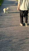 mathilda_bergs Altpins Profile Picture