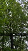 mathilda_bergs Altpins Profile Picture