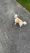 mathilda_bergs Altpins Profile Picture