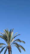 mathilda_bergs Altpins Profile Picture