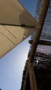 mathilda_bergs Altpins Profile Picture