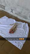 mathilda_bergs Altpins Profile Picture