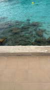 mathilda_bergs Altpins Profile Picture