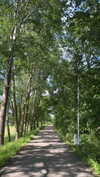 mathilda_bergs Altpins Profile Picture