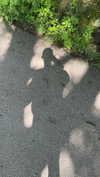 mathilda_bergs Altpins Profile Picture