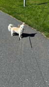 mathilda_bergs Altpins Profile Picture