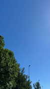 mathilda_bergs Altpins Profile Picture