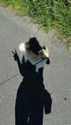 mathilda_bergs Altpins Profile Picture