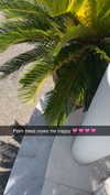 mathilda_bergs Altpins Profile Picture