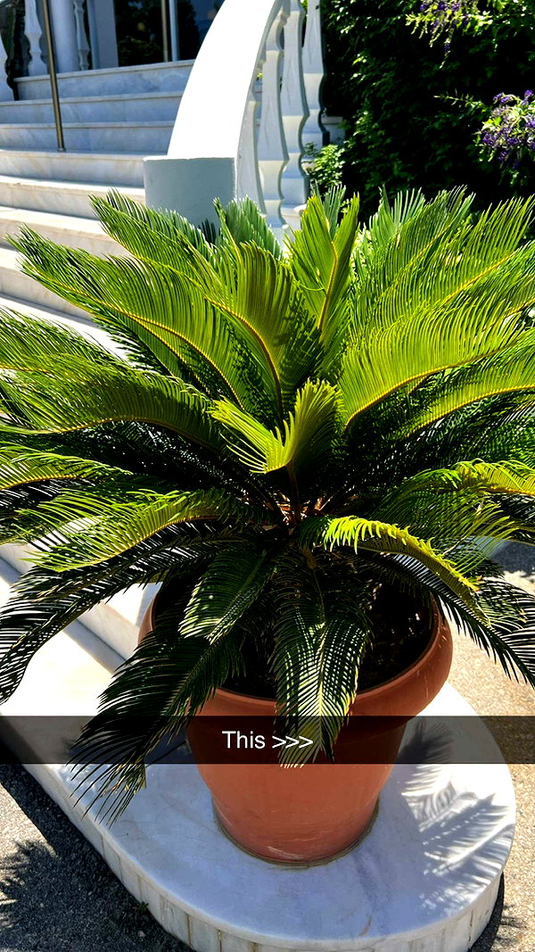 mathilda_bergs snapchat image archive image