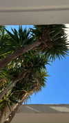 mathilda_bergs Altpins Profile Picture