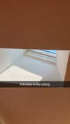 mathilda_bergs Altpins Profile Picture