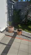 mathilda_bergs Altpins Profile Picture