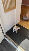 mathilda_bergs Altpins Profile Picture