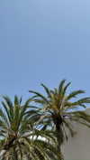 mathilda_bergs Altpins Profile Picture