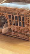 mathilda_bergs Altpins Profile Picture
