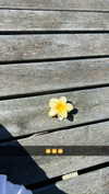 mathilda_bergs Altpins Profile Picture