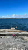 mathilda_bergs Altpins Profile Picture