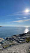 mathilda_bergs Altpins Profile Picture