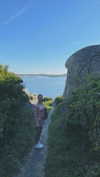 mathilda_bergs Altpins Profile Picture