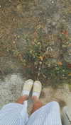 mathilda_bergs Altpins Profile Picture