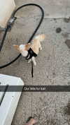 mathilda_bergs Altpins Profile Picture