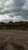 mathilda_bergs Altpins Profile Picture