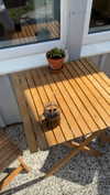 mathilda_bergs Altpins Profile Picture