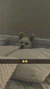 mathilda_bergs Altpins Profile Picture